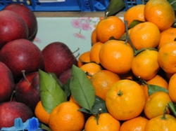 frukt1