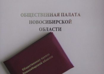 Губернаторская часть Общественной палаты НСО сформирована