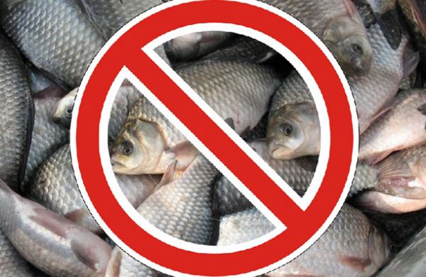 Когда будет введен запрет на рыбную ловлю в России