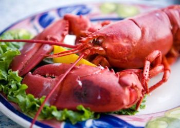 Ягнятина, лобстеры и креветки из Исландии вскоре появятся на прилавках Новосибирска