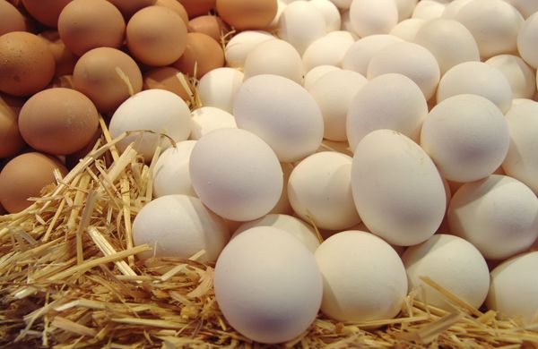 Цены на яйцо в преддверии Пасхи будут сдерживать в Новосибирске