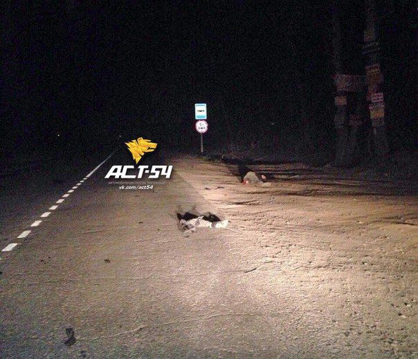 Ночью из-за водителя-лихача погиб человек