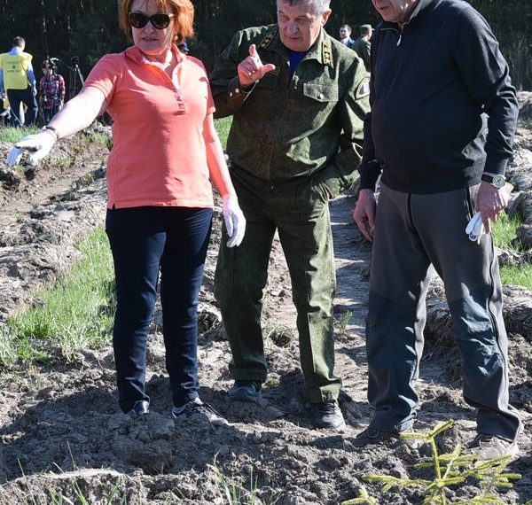 Новый лес для потомков