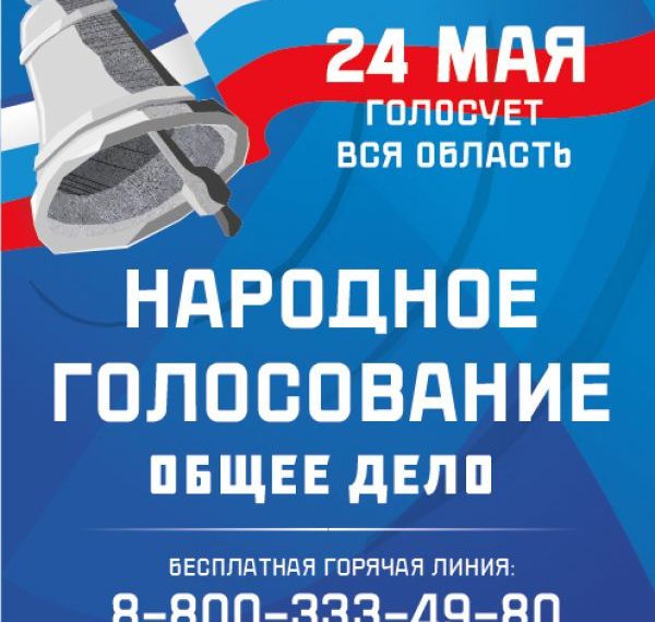 Народное голосование при участии 243 тысяч избирателей состоялось в Новосибирской области