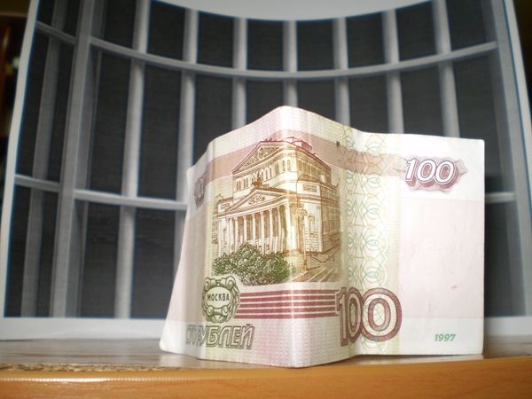 Мальчик из Бердска помог полицейским задержать грабителя