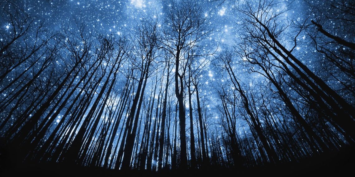 На Новосибирск обрушились звездные дожди