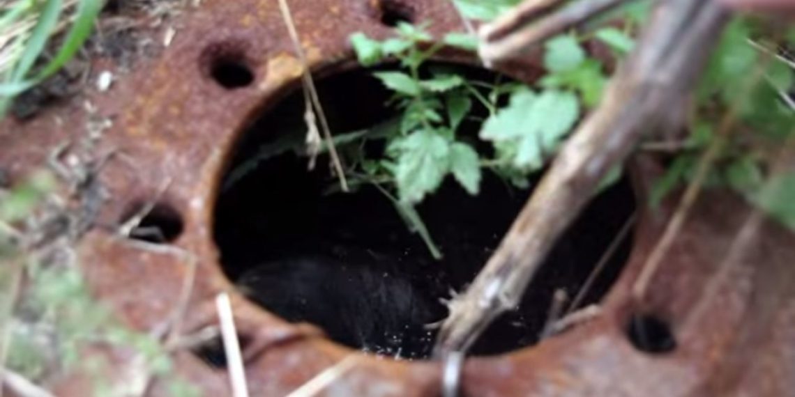 В интернете появился сатирический ролик о канализации на поверхности в селе под Новосибирском (видео)