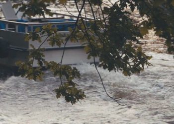 Одна в городе