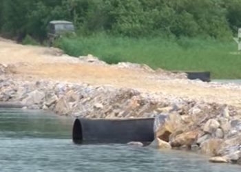 Генпрокуратура потребовала снести дамбу в акватории Бердского залива