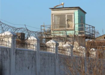 8,5 лет на двоих получили сотрудники колонии за избиение заключенного дубинками