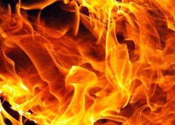 Женщина и малолетний ребенок погибли при пожаре в Новолуговом