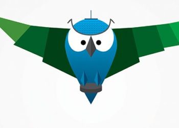 Сине-зеленый филин с шайбой может заменить новосибирского Городовичка