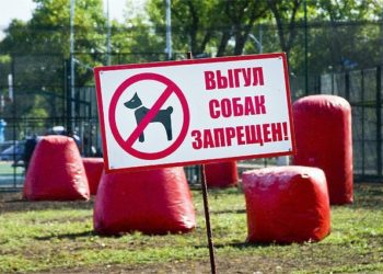 70 новосибирцев оштрафовали за выгул собак у Монумента славы