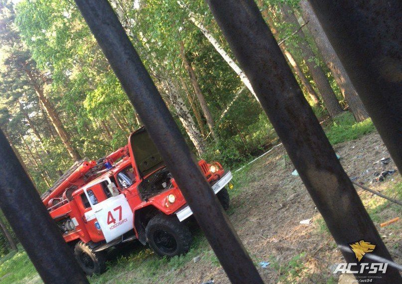 Новосибирский зоопарк едва не сгорел из-за поджога гаражей