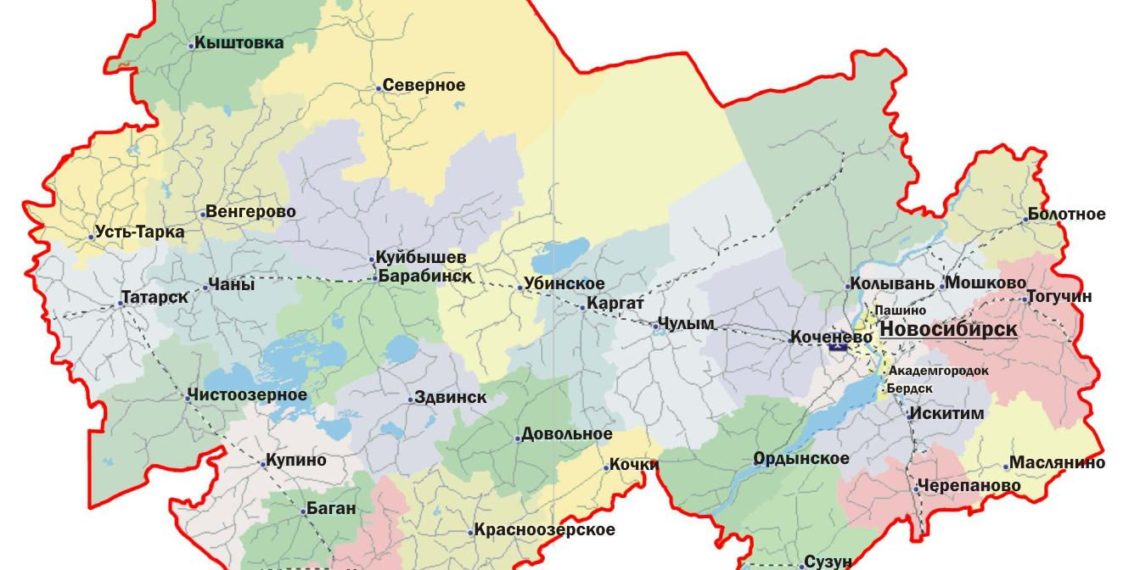 Новосибирцы чаще других россиян умирают от болезней кровообращения и онкозаболеваний