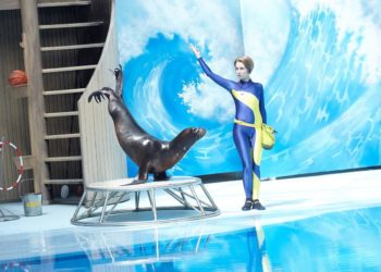 Новосибирский дельфинарий откроется в начале августа