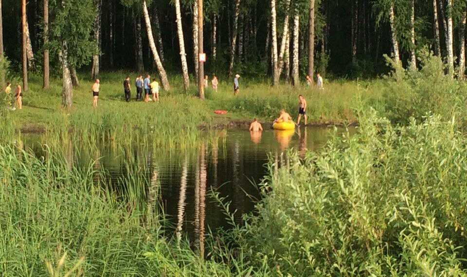 Парень утонул на озере в Сосновом бору Новосибирска