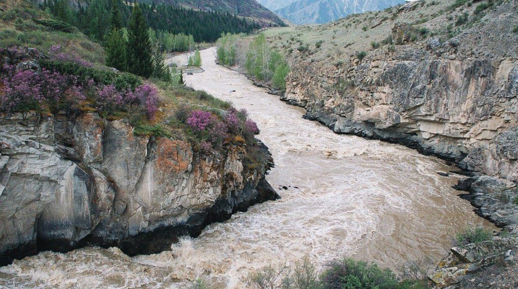 Автомобиль с семьей новосибирцев сорвался в бурную реку Чую