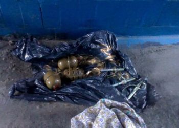 На обочине дороги под Новосибирском селяне нашли ящик с ручными гранатами