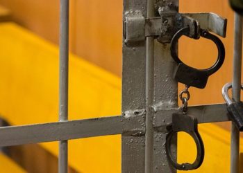 Криводановскому педофилу грозит пожизненное лишение свободы