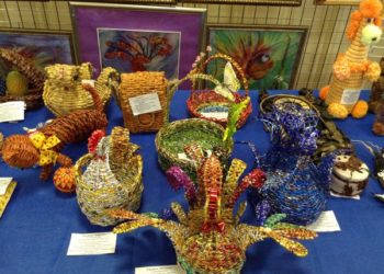 Барабинский район в Заксобрании (фоторепортаж)