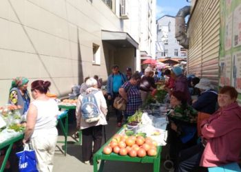 Новосибирским дачникам не хватает мест для торговли на рынках города