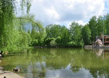 Памятник Ростиславу Шило откроют в Новосибирском зоопарке в начале августа