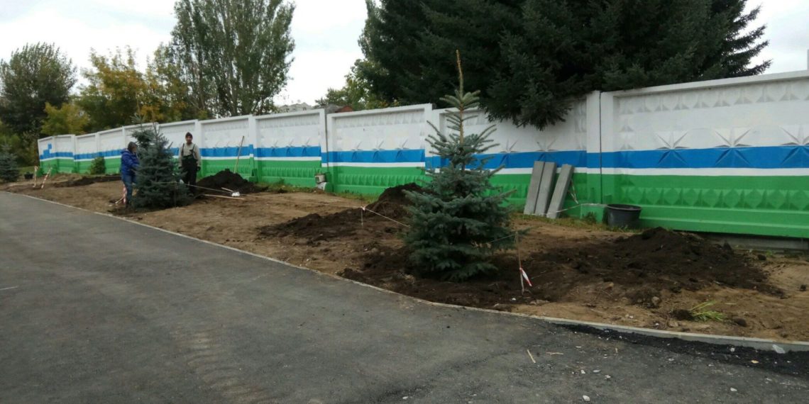 Дисперсные посадки хвойных начались на ул. Кирова в Новосибирске