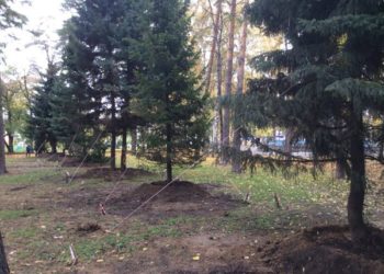 Яркая речь чиновника, или куда утащили седьмую ёлку с Кирова 23?