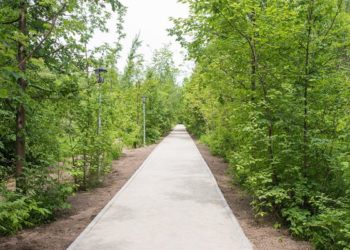 Экология начинается с каждого