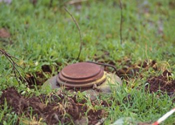 Под Новосибирском найдено два предмета, похожих на мины