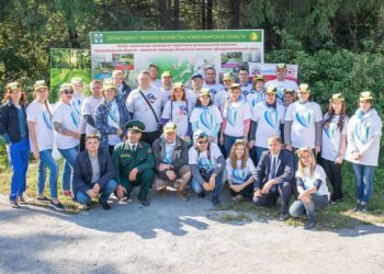 Коллективное взаимодействие — ключ к достижению успеха