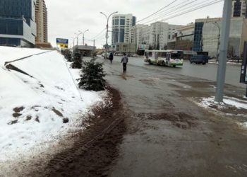 Посаженные в тротуар ели у станции метро «Октябрьская» обнесут забором