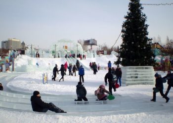 Мэр Новосибирска попросил политиков и общественников не проводить акции во время каникул