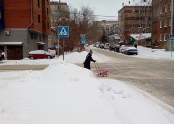 Новосибирский сенатор призвала общественность помочь ГИБДД с профилактикой детского травматизма