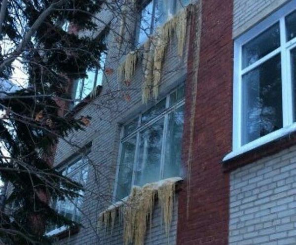 Сосульки цвета детской неожиданности свисают из окон техникума в Искитиме