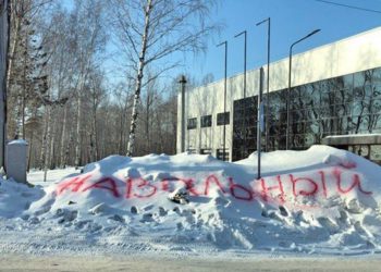 Новосибирцы призвали Навального на уборку снега, москвичи экспериментируют с Грудининым