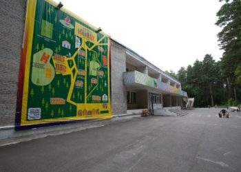 Директор детского лагеря в Бердске получил профдисквалификацию за выпавшего в окно ребенка