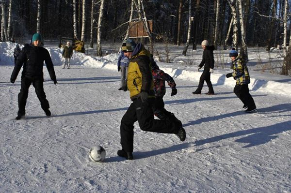 Выделенный под стадион участок в «Сосновом бору» Новосибирска снимут с торгов