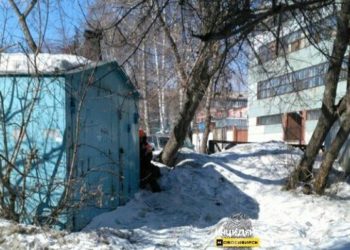 Новосибирская полиция задержала эксгибициониста у детской школы искусств