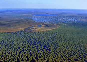 Васюганские болота под Новосибирском официально стали заповедником