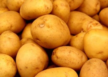 Оформление 140 тонн картофеля обернется инспектору Россельхознадзора 10 годами колонии