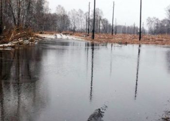 Улицы в садоводстве под Новосибирском превратились в озера