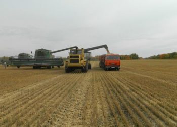 Из напасти да в несчастье. Посевная в НСО закончилась в режиме ЧС, будет битва за урожай