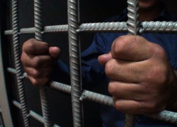 В Новосибирске заключенный обматерил сотрудника колонии, суд дал ему четыре года