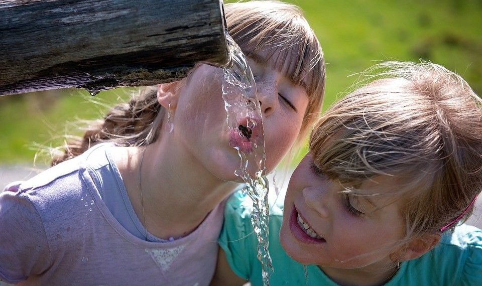 Дети пили некачественную воду в школьном лагере Бердска