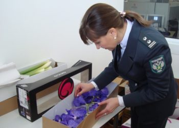 пресс-служба управления Россельхознадзора по Новосибирской области