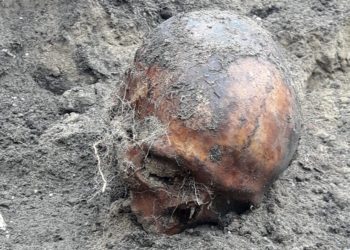 Юрий Лобанов