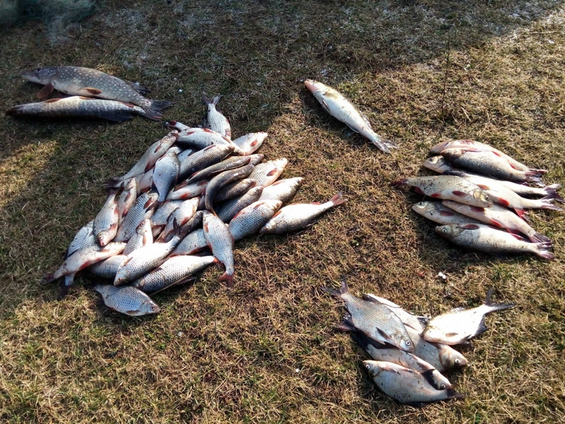 fishingclub.by