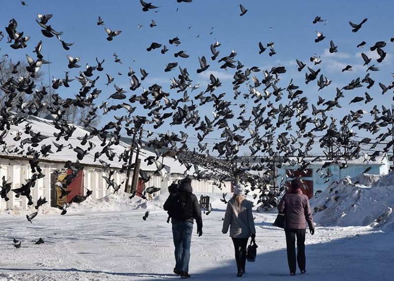 Сергей Пермин